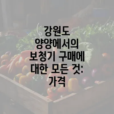 강원도 양양에서의 보청기 구매에 대한 모든 것: 가격