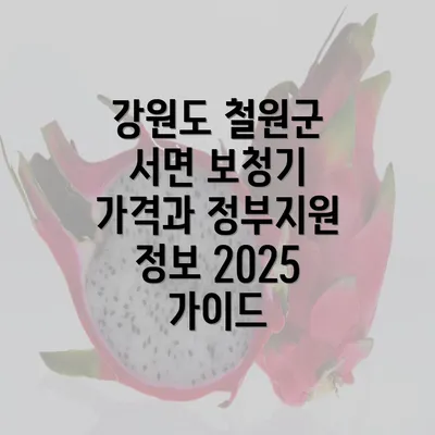 강원도 철원군 서면 보청기 가격과 정부지원 정보 2025 가이드