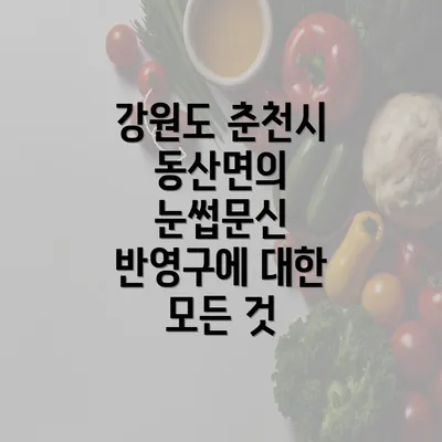 강원도 춘천시 동산면의 눈썹문신 반영구에 대한 모든 것