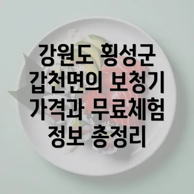 강원도 횡성군 갑천면의 보청기 가격과 무료체험 정보 총정리