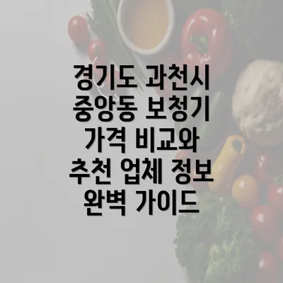 경기도 과천시 중앙동 보청기 가격 비교와 추천 업체 정보 완벽 가이드