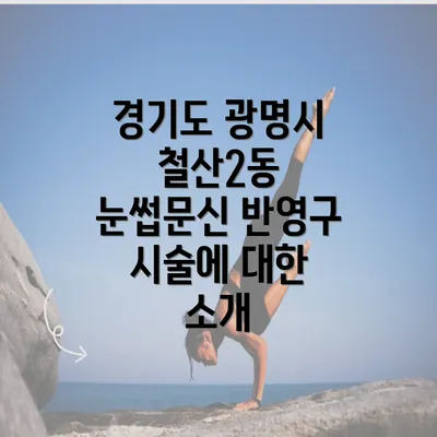 경기도 광명시 철산2동 눈썹문신 반영구 시술에 대한 소개