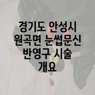 경기도 안성시 원곡면 눈썹문신 반영구 시술 개요