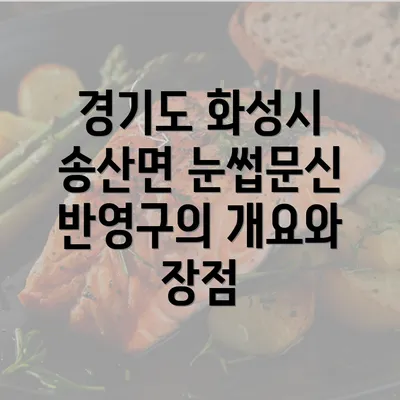 경기도 화성시 송산면 눈썹문신 반영구의 개요와 장점