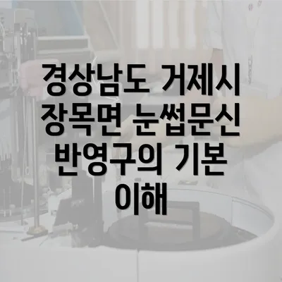 경상남도 거제시 장목면 눈썹문신의 주의사항