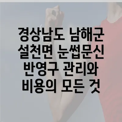 경상남도 남해군 설천면 눈썹문신 반영구 관리와 비용의 모든 것