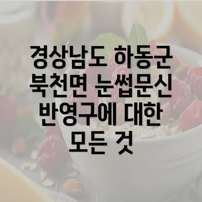 경상남도 하동군 북천면 눈썹문신 반영구에 대한 모든 것