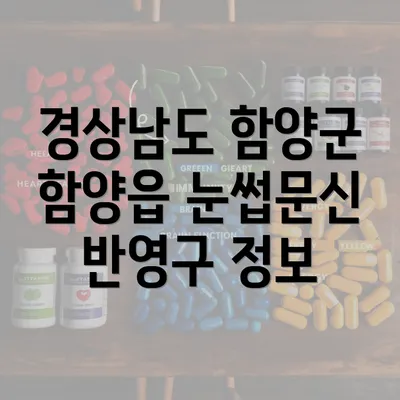 경상남도 함양군 함양읍 눈썹문신 반영구 정보