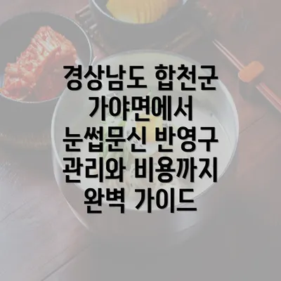 경상남도 합천군 가야면에서 눈썹문신 반영구 관리와 비용까지 완벽 가이드