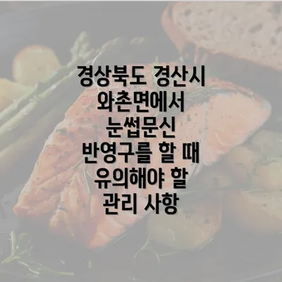 경상북도 경산시 와촌면에서 눈썹문신 반영구를 할 때 유의해야 할 관리 사항