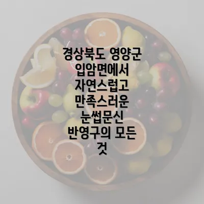 경상북도 영양군 입암면에서 자연스럽고 만족스러운 눈썹문신 반영구의 모든 것