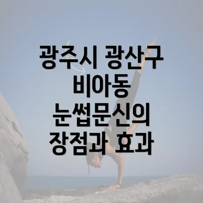 광주시 광산구 비아동 눈썹문신의 장점과 효과