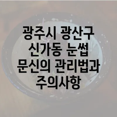 광주시 광산구 신가동 눈썹 문신의 관리법과 주의사항