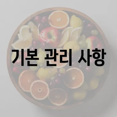 기본 관리 사항