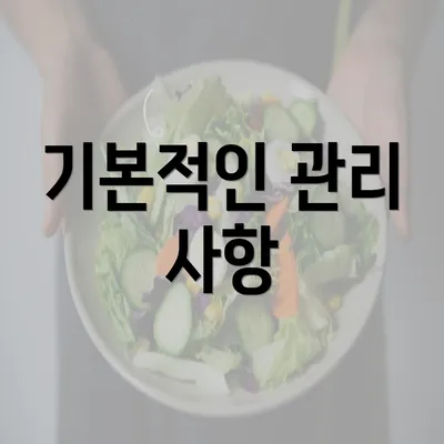 기본적인 관리 사항