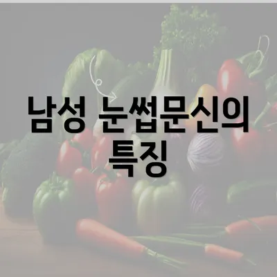 남성 눈썹문신의 특징