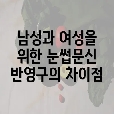 남성과 여성을 위한 눈썹문신 반영구의 차이점