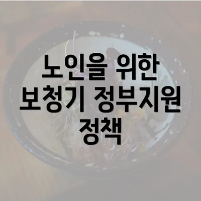 노인을 위한 보청기 정부지원 정책