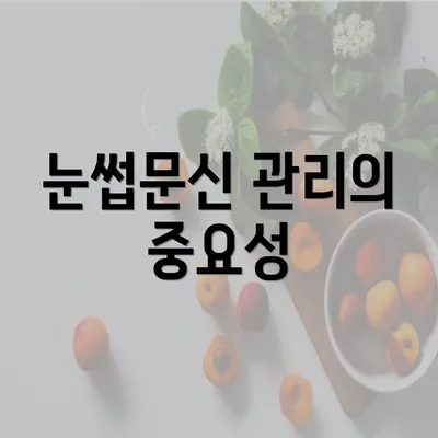 눈썹문신 관리의 중요성