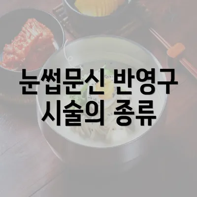 눈썹문신 반영구 시술의 종류