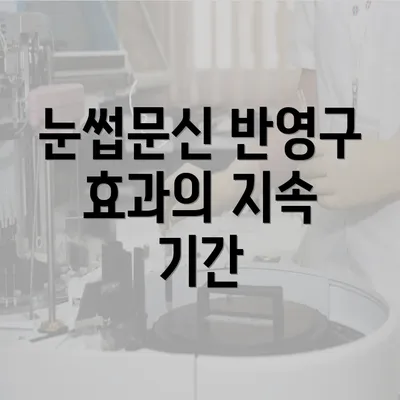 눈썹문신 반영구 효과의 지속 기간