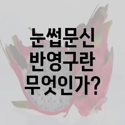 눈썹문신 반영구란 무엇인가?