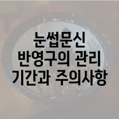 눈썹문신 반영구의 관리 기간과 주의사항