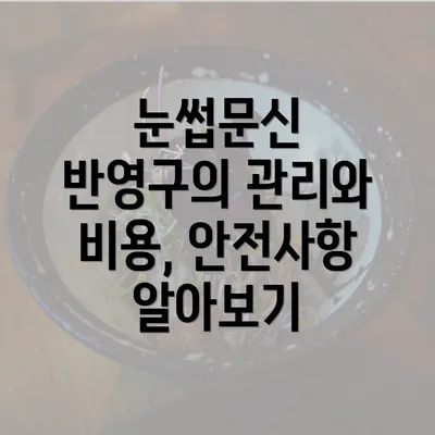 눈썹문신 반영구의 관리와 비용, 안전사항 알아보기