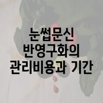 눈썹문신 반영구화의 관리비용과 기간