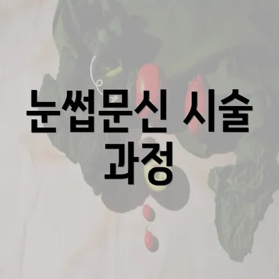 눈썹문신 시술 과정