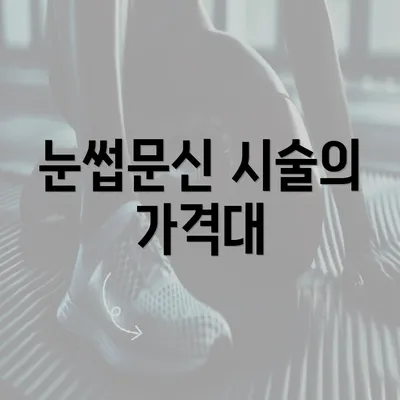 눈썹문신 시술의 가격대