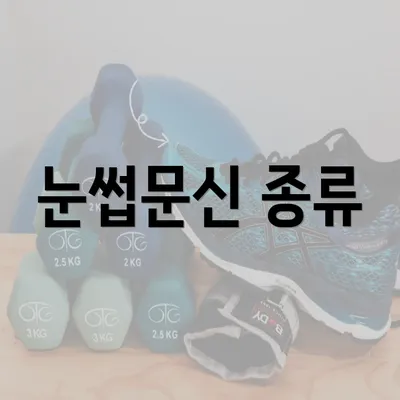 눈썹문신 종류