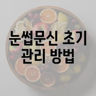 눈썹문신 초기 관리 방법