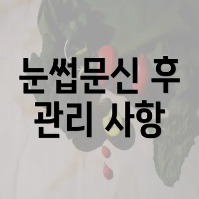 눈썹문신 후 관리 사항