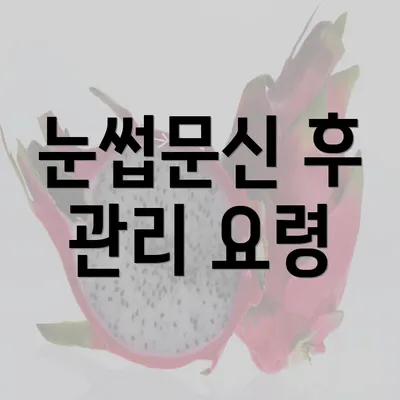 눈썹문신 후 관리 요령