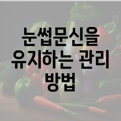 눈썹문신을 유지하는 관리 방법