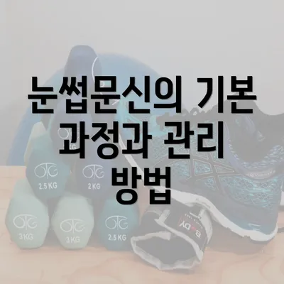 눈썹문신의 기본 과정과 관리 방법