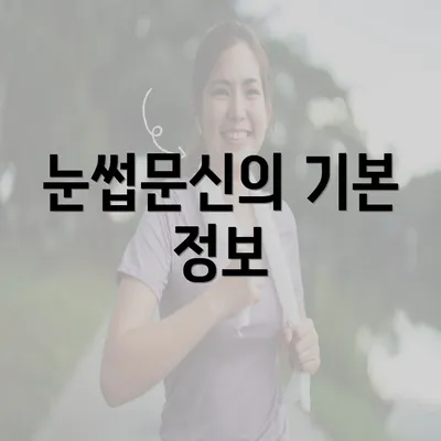 눈썹문신의 기본 정보