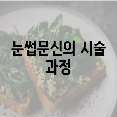 눈썹문신의 시술 과정