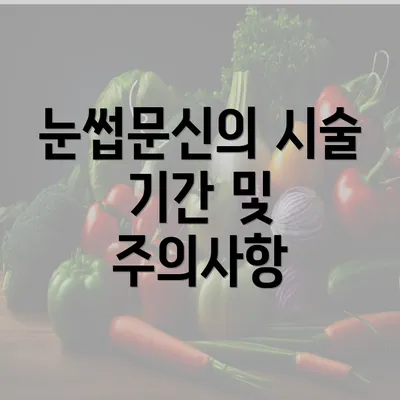 눈썹문신의 시술 기간 및 주의사항