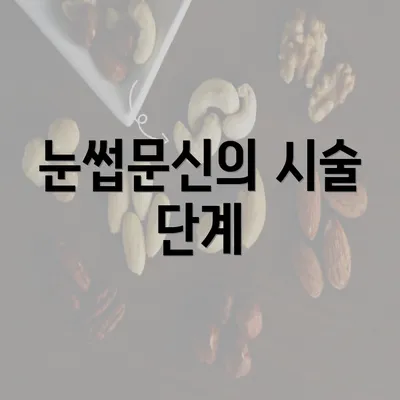 눈썹문신의 시술 단계