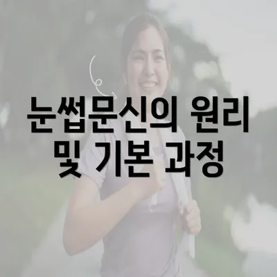 눈썹문신의 원리 및 기본 과정