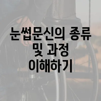 눈썹문신의 종류 및 과정 이해하기