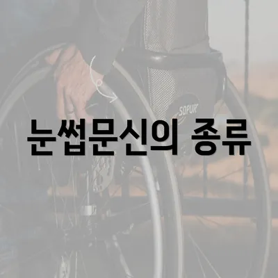 눈썹문신의 종류