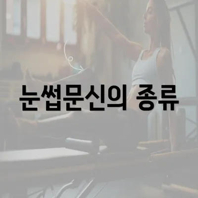 눈썹문신의 종류