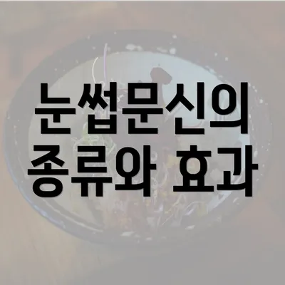 눈썹문신의 종류와 효과