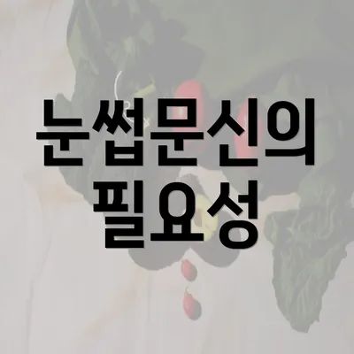 눈썹문신의 필요성