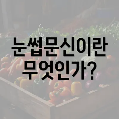 눈썹문신이란 무엇인가?