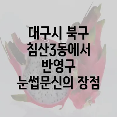 대구시 북구 침산3동에서 반영구 눈썹문신의 장점