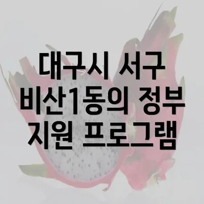 대구시 서구 비산1동의 정부 지원 프로그램